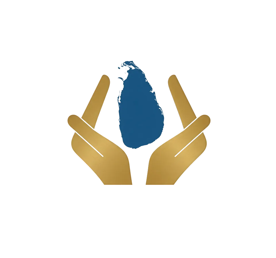 DMC